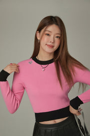 Color Lined Cropped Knit Top