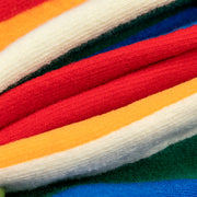 Rainbow Lined Socks