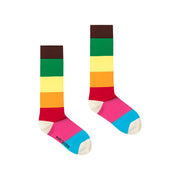 Rainbow Knee Socks