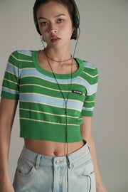 Striped Cropped Knit Top