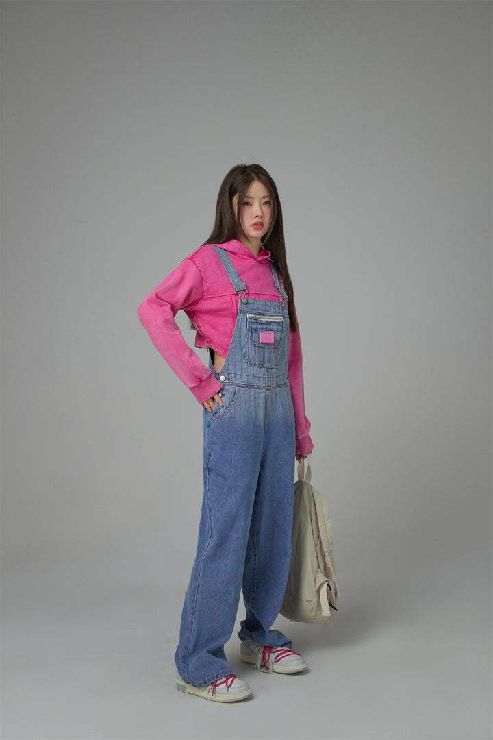 Overall Denim Jumpsuit