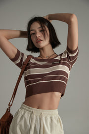 Striped Cropped Knit Top